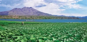 Indonesia is betting on villages to launch its economic renaissance