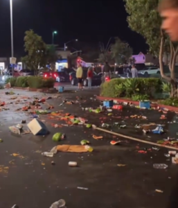 A night turned into chaos… American Independence Day ends with looting and fires (video)