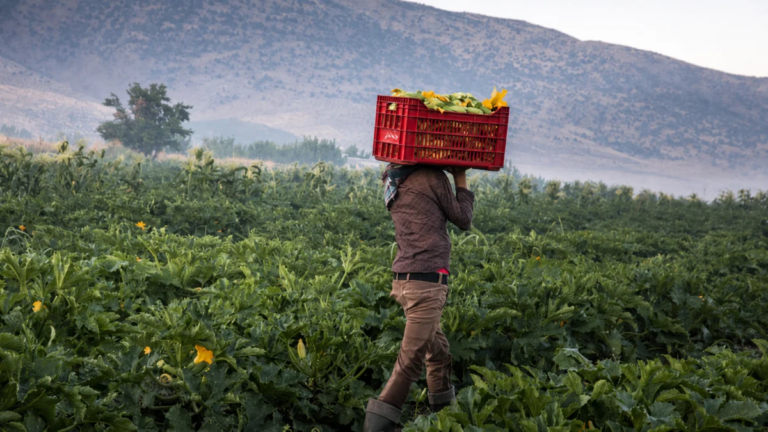An early depression is knocking on Lebanon’s doors… a weather warning for farmers