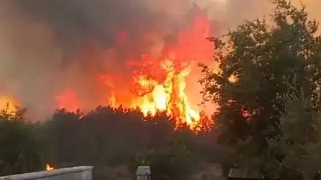 Massive fire in the Chouf… The flames are approaching residential areas
