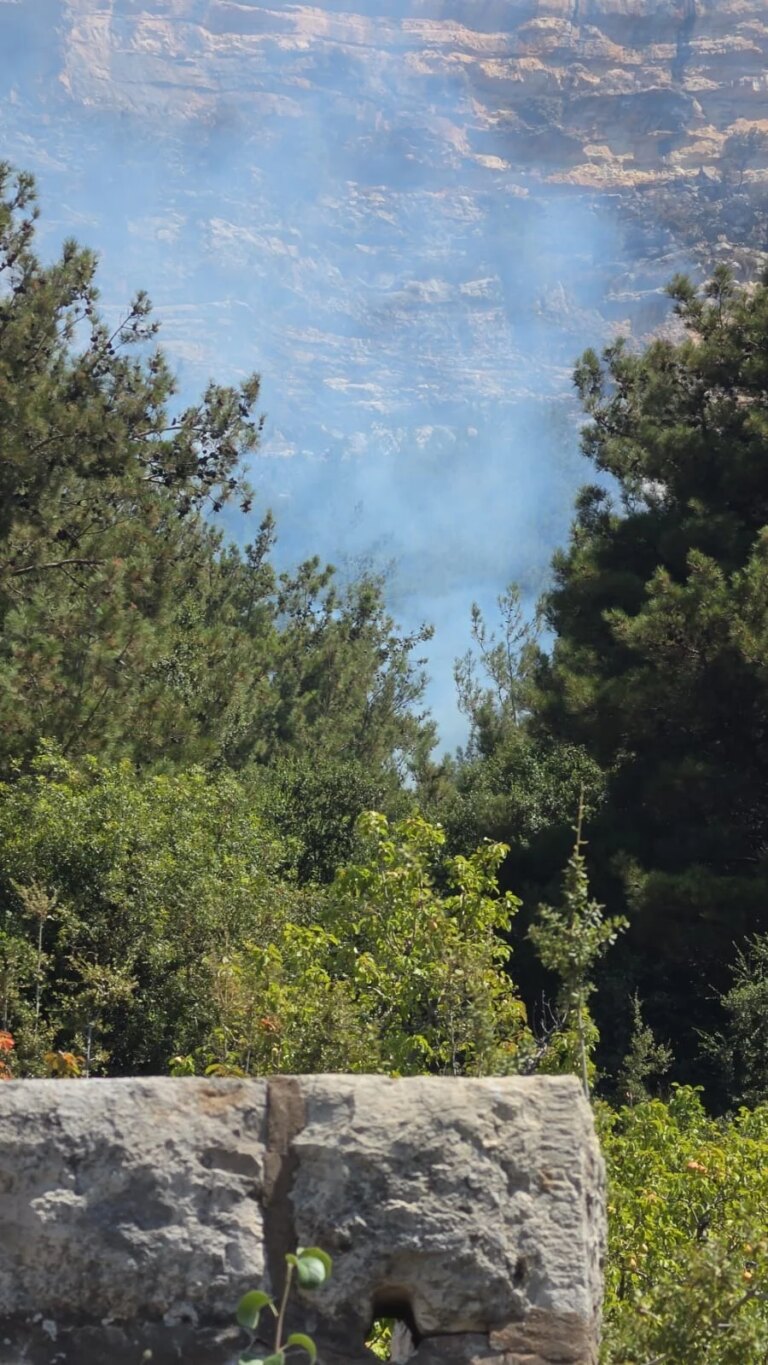 Ehden forests are on fire again… Civil Defense is in a race with the flames