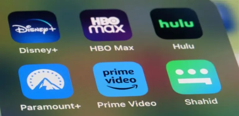 The subscription economy.. How do digital services eat up household income?