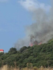 Fires on the seafront… Hamat faces rapidly spreading fires (video)
